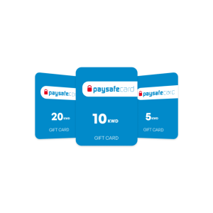 Paysafe Card 100€
